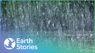 How Does Rain Actually Work Rain The Untold Story