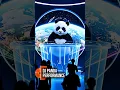 Download Lagu DJ PANDA LIVE PERFORMANCE #2 - Epic Night Party Mix 2025 🔥