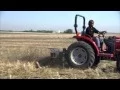 Weed Control with a Rotary Hoe