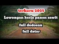Download Lagu lowongan kerja panen sawit terbaru gaji hingga belasan juta perbulan