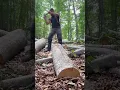 Download Lagu Splitting a tree trunk using an axe #shorts