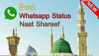 best whatsapp status naat shareef love madina 
