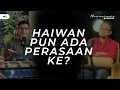 Azamuddeen Nasir - Haiwan-haiwan Yang Tersakiti, Tragedi Gajah Gerik-Jeli \u0026 Haiwan Pendatang