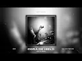 RØZ, Natt Calma & Mau Moctezuma - CORA DE HIELO (VOLTA Remix)
