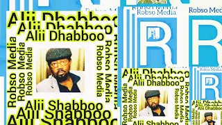 Ali Shabboo Wallee Arra Aartee Jirtaa Waagammachuun Qabduu Jachuun Wallifameefi Jaalatamu By RM 