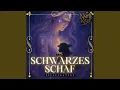 Download Lagu Schwarzes Schaf
