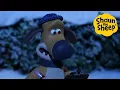 Download Lagu Shaun the Sheep 🐑 Night time notes - Cartoons for Kids 🐑 Full Episodes Compilation [1 hour]