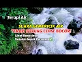 Download Lagu Terapi Air, Suara Gemericik Air Terapi Burung Cepat Bocor!