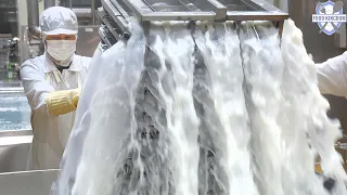 우유가 이렇게 변한다고?! 한국의 놀라운 제조 과정 / What Happens to All This Milk in Korea?