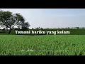 Download Lagu SEPERTI BINTANG • UTOPIA • LIRIK !!!