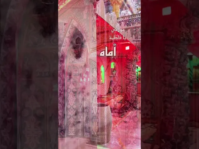 ⁣مولاتي يا فاطمة الزهراء ..  #جامعة_آل_البيت_العالمية #اكسبلور #لايك #ترند