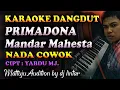 Lagu Karaoke Dangdut Primadona Mandar Mahesta || Nada Cowok