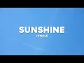 Jungle - Sunshine (Visualizer)