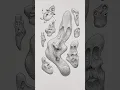How To Draw With SHAPES