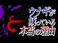 Download Lagu The real reason for the decline in eel population is