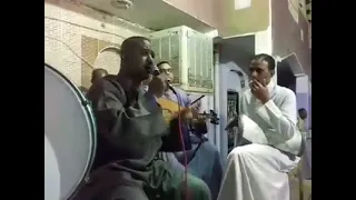 الفنان محمود الادفاوى من ليله كوامبو  الدكه دور الشطب وقول ومعني تقيل دندنها