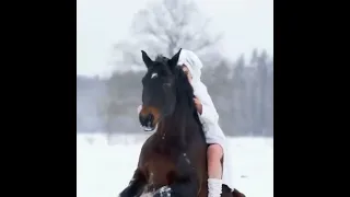 م ج ا ع ف غ ق ث ص ض ر ى ة ا ل ب ي ي س ز و ن م ك ط ة ش ذ ؤ ء س ي ش ج دندنها