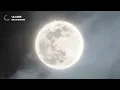 Billie Marten - La Lune