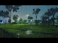 Download Lagu 💤Experience the Deepest Sleep with Natural Night Rain Sounds in Quiet Park | ASMR Rain