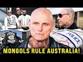 How the Mongols MC Took Over Australia s Drug Trade