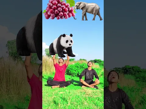 Alifun baa Taun Saa | Naat | Islamic video|| #islamicshorts #shorts#islamicsong #trending