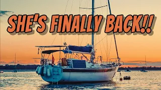Sailing Boat Rigging & Mast Installation (We’re back, Baby!)