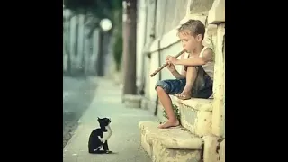 عتابات نادرة نغمات جبلية حزينة 