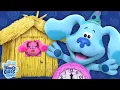 Exciting Adventures With Blue Magenta Blue s Clues You