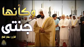 كأنها الجنة قارئ العشق الإلهى أجمل تلاوات القارئ مختار الحاج قرآن 