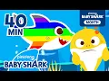 Oh Where is My Color Compilation Baby Shark Colors Baby Shark