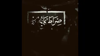 عباس مالحكت انخاك من صيحت السيد فاقد الموسوي 