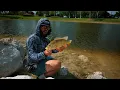Fishing the old grounds Peacock Bass and Exotics