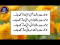 Lagu Quotes About Life Urdu | Bano Qudsia Quotes Motivational \u0026 Inspirational Quotes | Daily Motivation