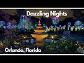 Dazzling Nights Orlando