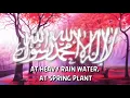 Download Lagu Ya Hala Marhaba - Nasheed with with English translation