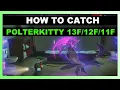 HOW TO CATCH POLTERKITTY - 11F