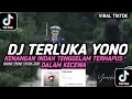 Download Lagu DJ TERLUKA - YONO || DJ KENANGAN INDAH TENGGELAM TERHAPUS DALAM KECEWA VIRAL TIKTOK TERBARU 2025