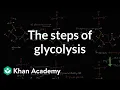 Steps of glycolysis Cellular respiration Biology Khan Academy