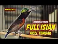 Lagu SUARA BURUNG KOLIBRI NINJA GACOR FULL NEMBAK ISIAN MEWAH !! PANCINGAN KONIN BAHAN AGAR CEPAT EMOSI