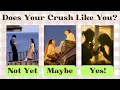 Does Your Crush Love You Back Fun Personality Test Quiz