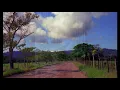 The Lacs : Country Road