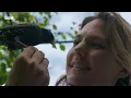 The Hidden World of Ultraviolet Light | Colour: The Spectrum of Science | BBC Earth Science