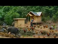 Download Lagu Living One Year Alone in the Wilderness | From Off-Grid Cabin to Dream Farm