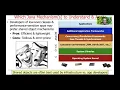 Evaluating the Concurrency and Parallelism Mechanisms in Java