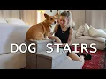 3-Step Wide Dog Stairs with Hidden Storage 18 H Non-Slip Dog Steps for High Bed Couch Window Car