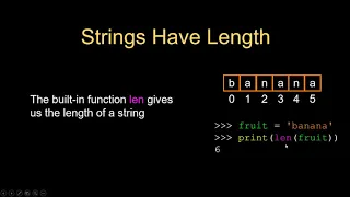 Python Basics - Day 6