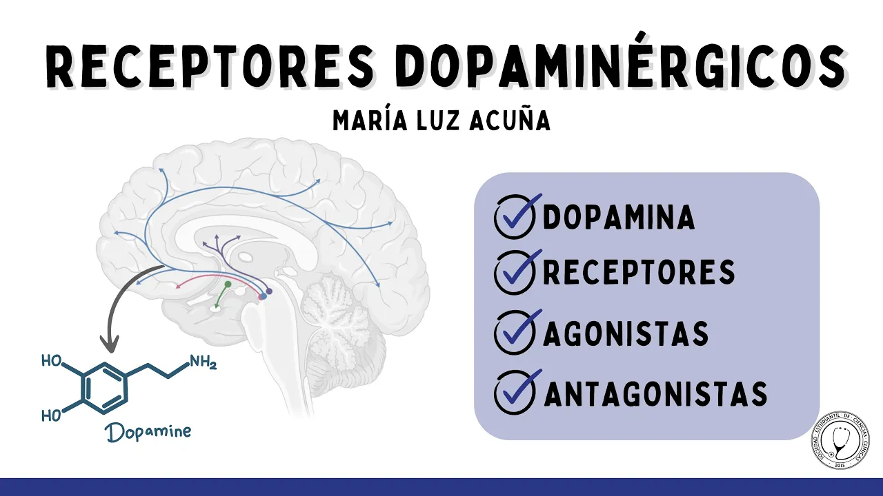 FARMACOLOGÍA DE RECEPTORES DOPAMINÉRGICOS | FARMACOLOGÍA