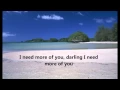 Download Lagu I Need More Of You - Bellamy Brothers