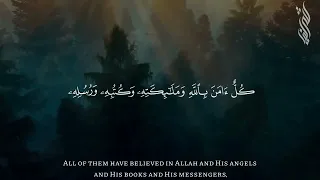 أواخر سورة البقرة شريف مصطفى 