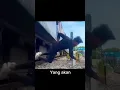 Download Lagu Inilah pentingnya menjaga jarang saat kereta sedang melintas#keretaapi #kecelakaan
